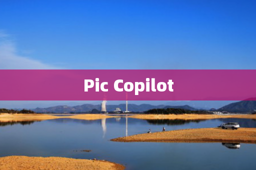 Pic Copilot