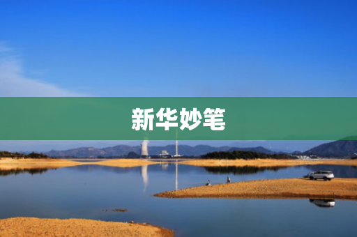 新华妙笔