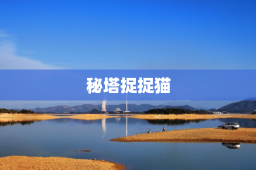 秘塔捉捉猫